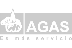 Owl Image